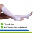 Meia de Compressão Graduada Antitrombo e Antiembolismo 3/4 15-21 mmhg Varipress - New Form Meia de Compressão Graduada Antitrombo e Antiembolismo 3/4 15-21 mmhg Varipress - New Form